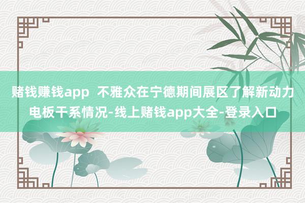 赌钱赚钱app  不雅众在宁德期间展区了解新动力电板干系情况-线上赌钱app大全-登录入口