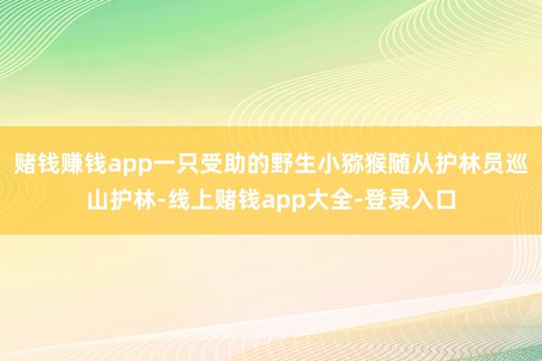 赌钱赚钱app一只受助的野生小猕猴随从护林员巡山护林-线上赌钱app大全-登录入口