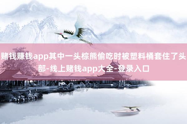 赌钱赚钱app其中一头棕熊偷吃时被塑料桶套住了头部-线上赌钱app大全-登录入口