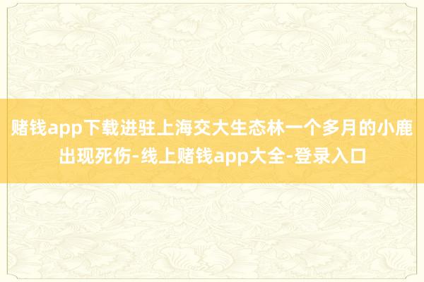赌钱app下载进驻上海交大生态林一个多月的小鹿出现死伤-线上赌钱app大全-登录入口