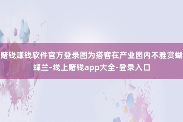 赌钱赚钱软件官方登录图为搭客在产业园内不雅赏蝴蝶兰-线上赌钱app大全-登录入口