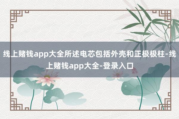 线上赌钱app大全所述电芯包括外壳和正极极柱-线上赌钱app大全-登录入口