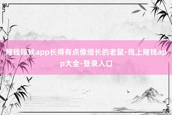 赌钱赚钱app长得有点像细长的老鼠-线上赌钱app大全-登录入口