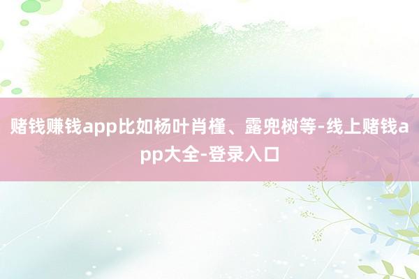 赌钱赚钱app比如杨叶肖槿、露兜树等-线上赌钱app大全-登录入口